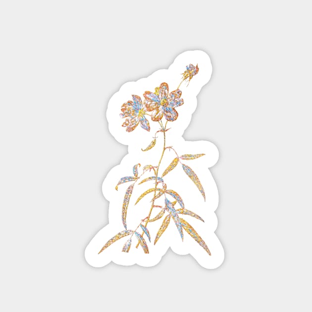 Gold Prism Mosaic Peach Leaved Rose Botanical Illustration Sticker by Holy Rock Design